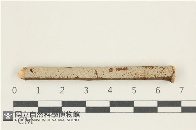 登錄號:F0038318藏品圖，第1張