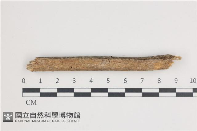 館號:F0035858藏品圖，第1張