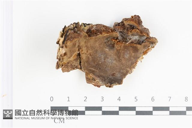 登錄號:F0035658藏品圖，第1張