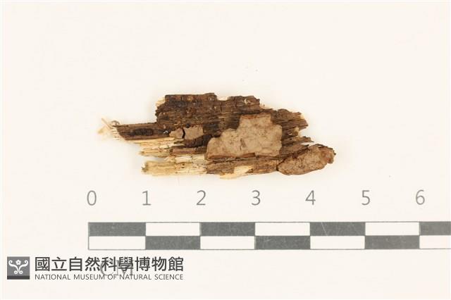 登錄號:F0017758藏品圖，第1張
