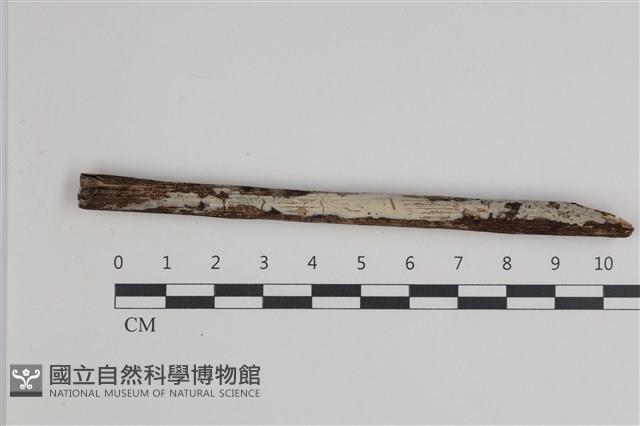 登錄號:F0035558藏品圖，第1張