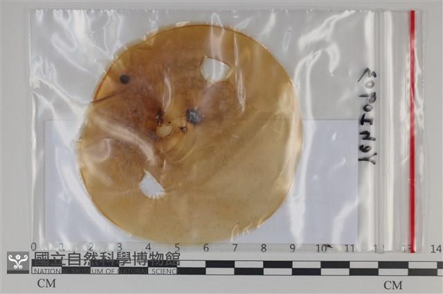 登錄號:F0035158藏品圖，第1張
