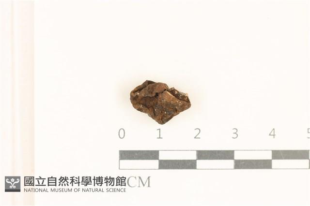 登錄號:F0037248藏品圖，第1張