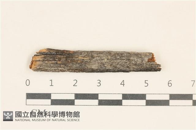 登錄號:F0011948藏品圖，第1張