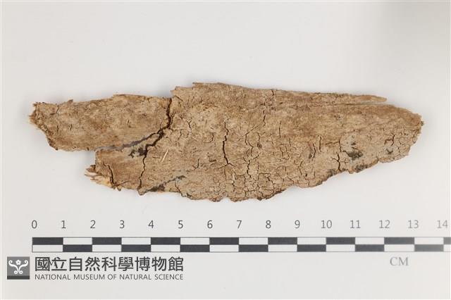 登錄號:F0035648藏品圖，第1張