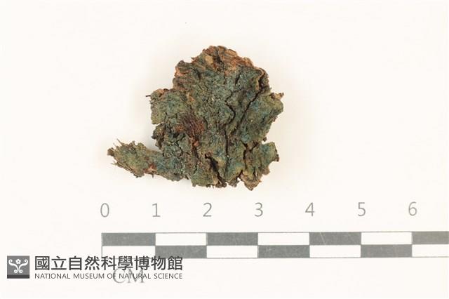登錄號:F0018548藏品圖，第1張