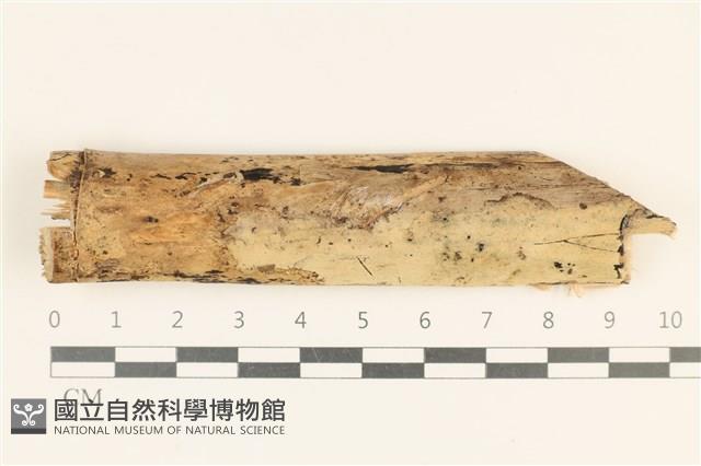 登錄號:F0018998藏品圖，第1張