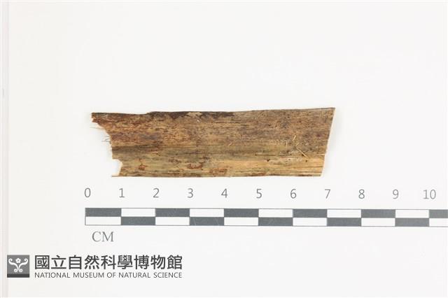 登錄號:F0036598藏品圖，第1張