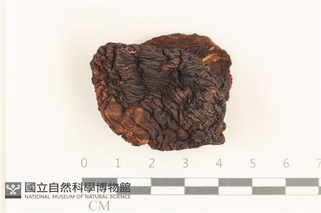 登錄號:F0037288藏品圖，第1張
