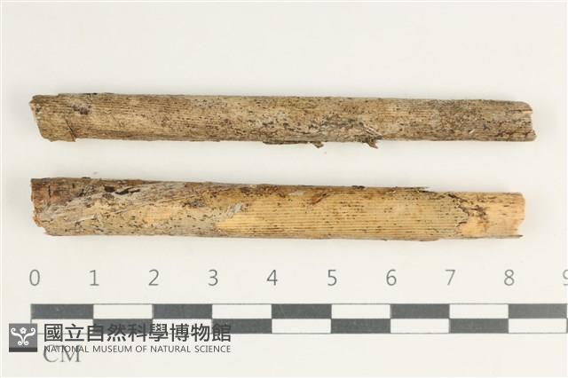 登錄號:F0038588藏品圖，第1張