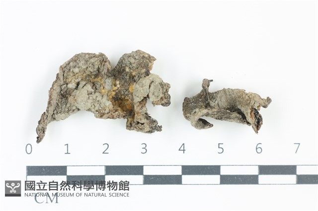 登錄號:F0039088藏品圖，第1張