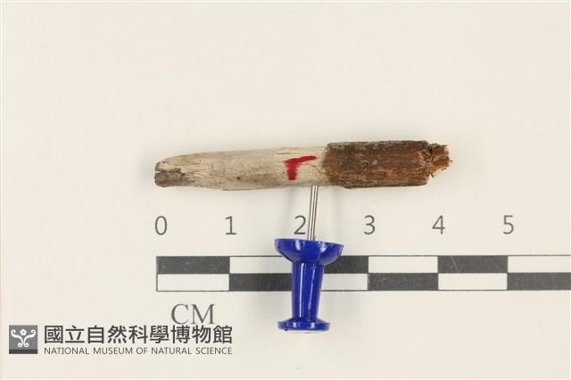 登錄號:F0037938藏品圖，第1張