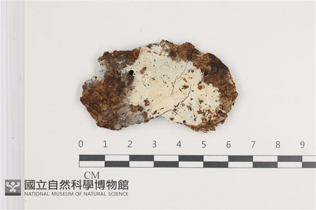 登錄號:F0035938藏品圖，第1張