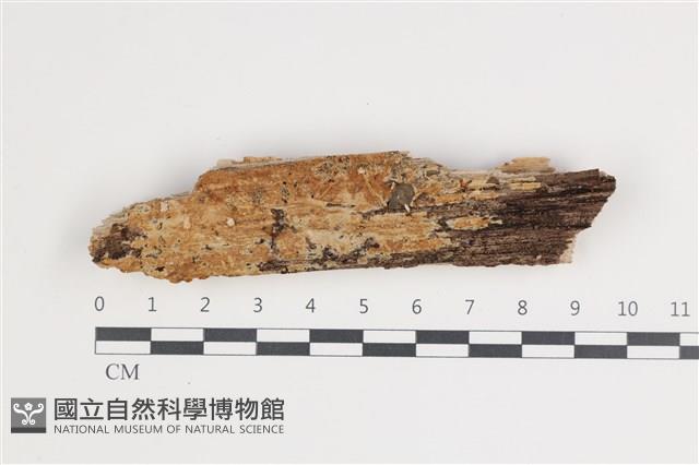 登錄號:F0035738藏品圖，第1張