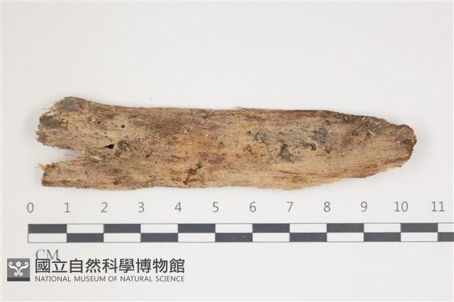 登錄號:F0035678藏品圖，第1張