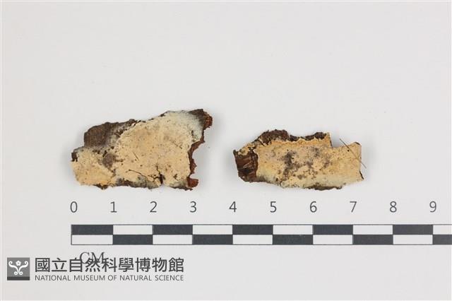 登錄號:F0035960藏品圖，第1張