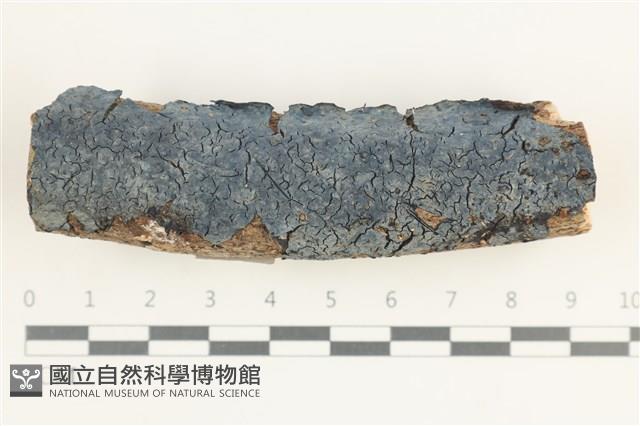 登錄號:F0038460藏品圖，第1張