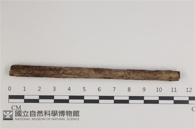 登錄號:F0035560藏品圖，第1張