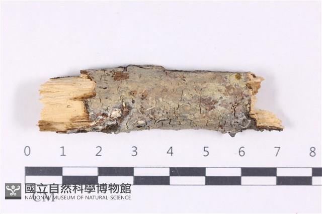 登錄號:F0022360藏品圖，第1張
