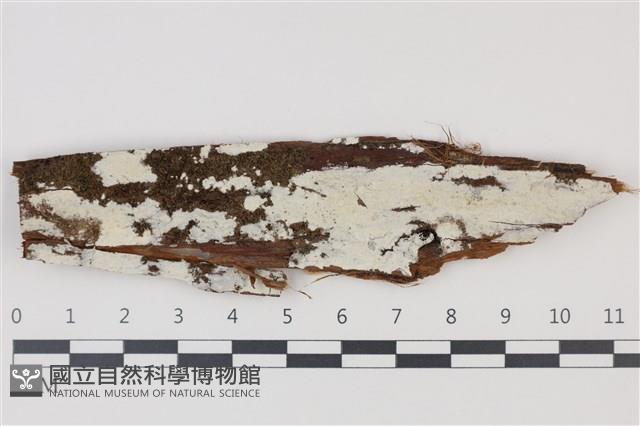 登錄號:F0035360藏品圖，第1張