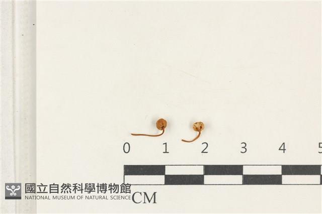 登錄號:F0038220藏品圖，第1張