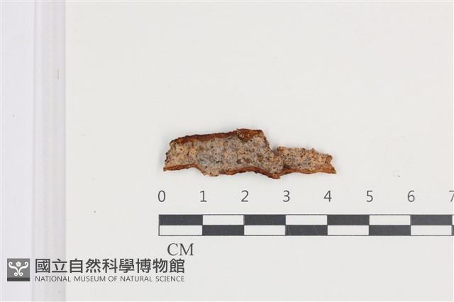 登錄號:F0036220藏品圖，第1張