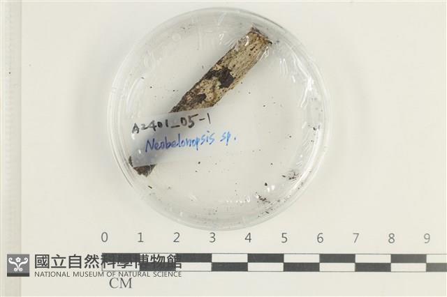 登錄號:F0038620藏品圖，第1張