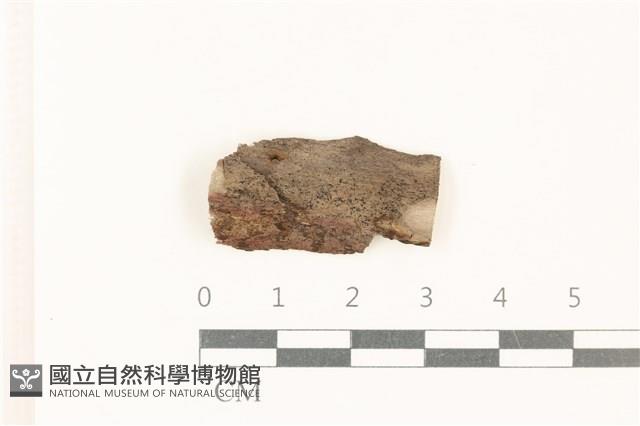 登錄號:F0037720藏品圖，第1張