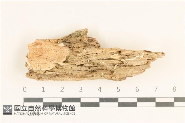 登錄號:F0017520藏品圖，第1張