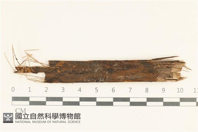 登錄號:F0038120藏品圖，第1張