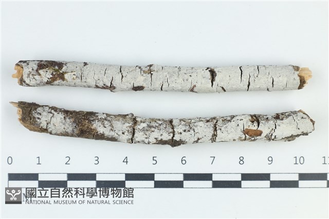 登錄號:F0039020藏品圖，第1張