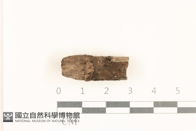 館號:F0037300藏品圖，第1張
