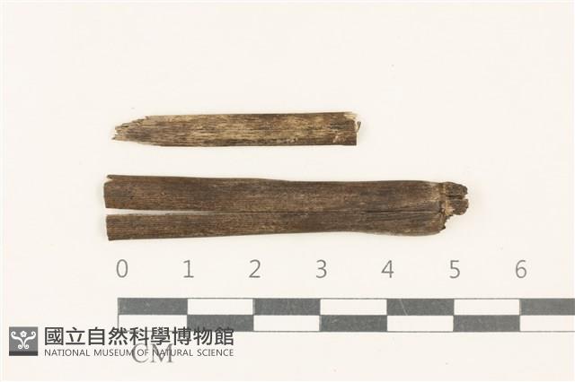 登錄號:F0037710藏品圖，第1張
