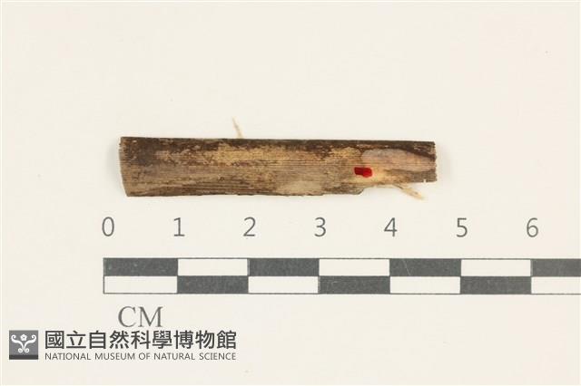 登錄號:F0038110藏品圖，第1張