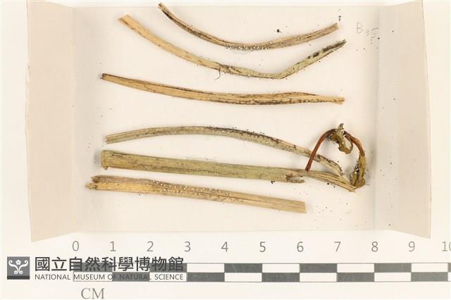 登錄號:F0018010藏品圖，第1張