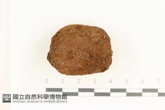 登錄號:F0037650藏品圖，第1張