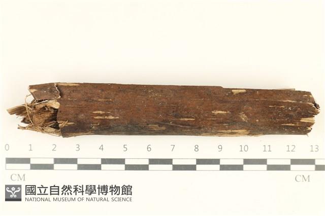 登錄號:F0038150藏品圖，第1張