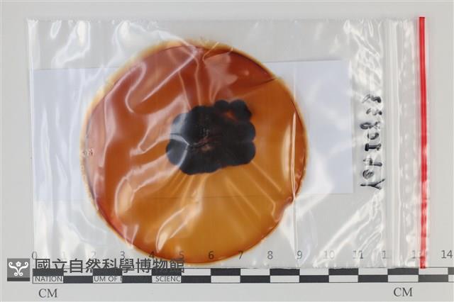 登錄號:F0035150藏品圖，第1張