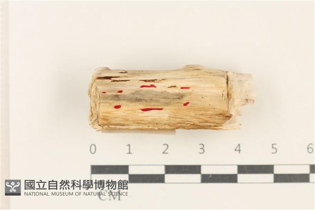 登錄號:F0037940藏品圖，第1張