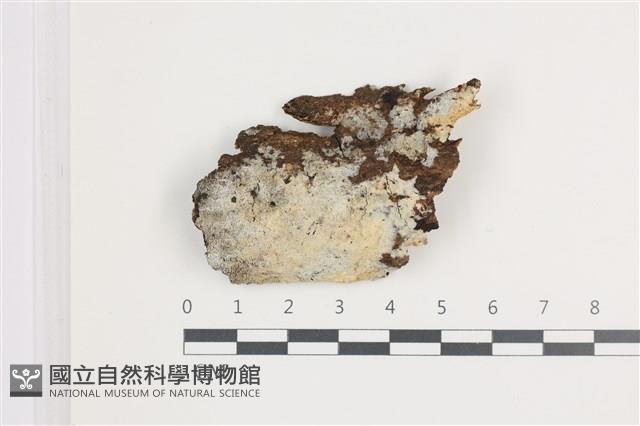 登錄號:F0035940藏品圖，第1張