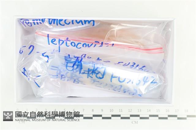 登錄號:F0038640藏品圖，第1張