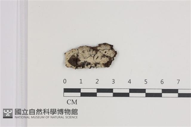 登錄號:F0035440藏品圖，第1張