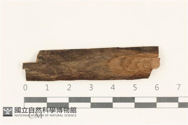 登錄號:F0038140藏品圖，第1張
