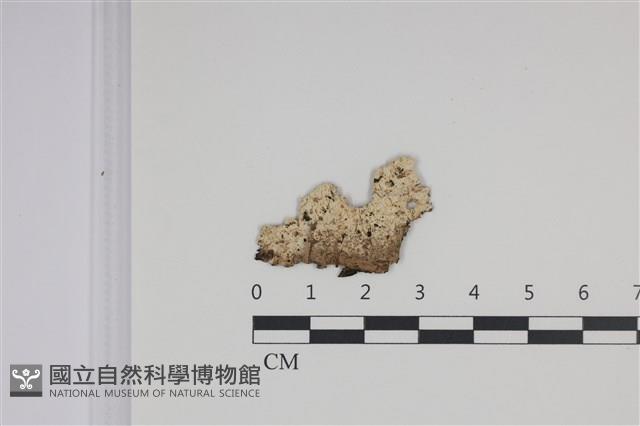 登錄號:F0035340藏品圖，第1張
