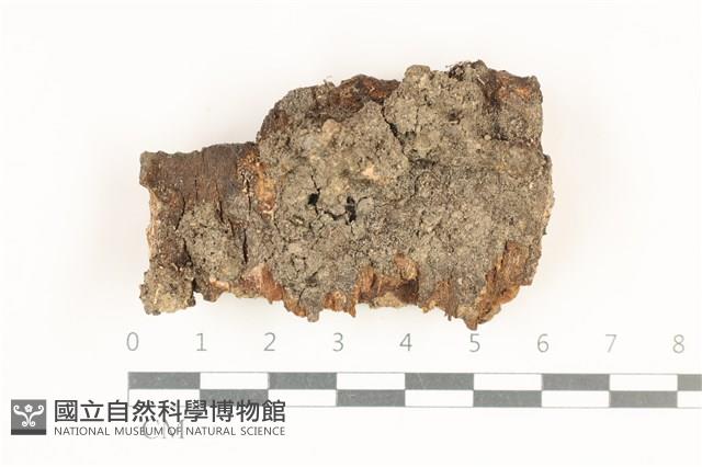 登錄號:F0038290藏品圖，第1張