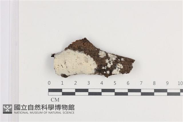 登錄號:F0036290藏品圖，第1張