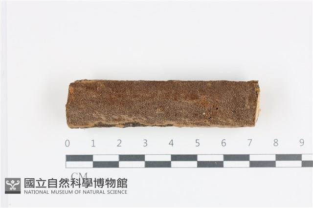 登錄號:F0035890藏品圖，第1張