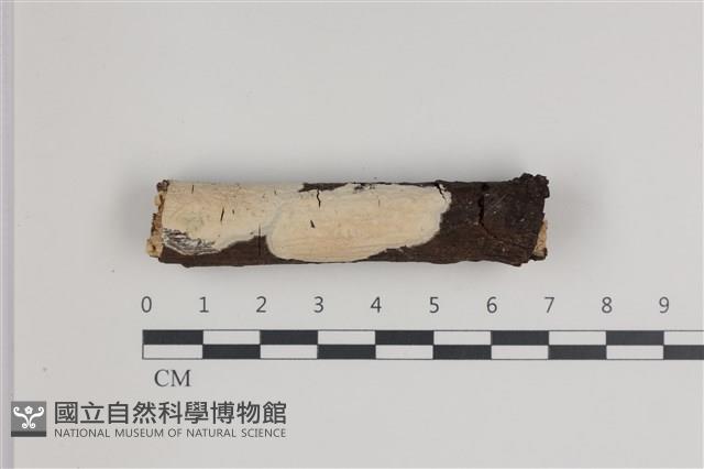 登錄號:F0035690藏品圖，第1張