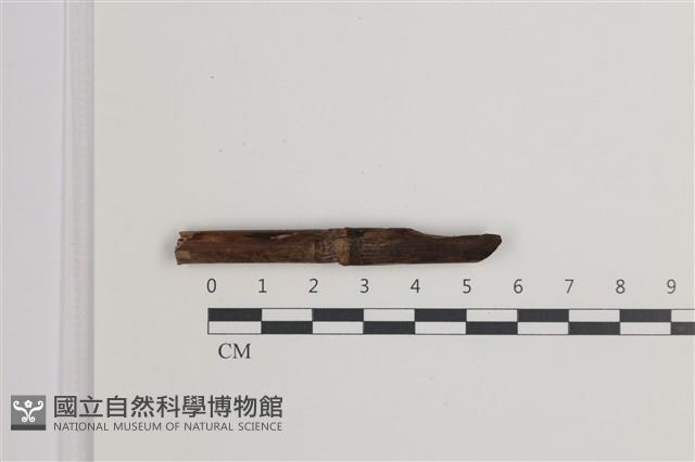 登錄號:F0035590藏品圖，第1張