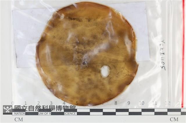 登錄號:F0035190藏品圖，第1張